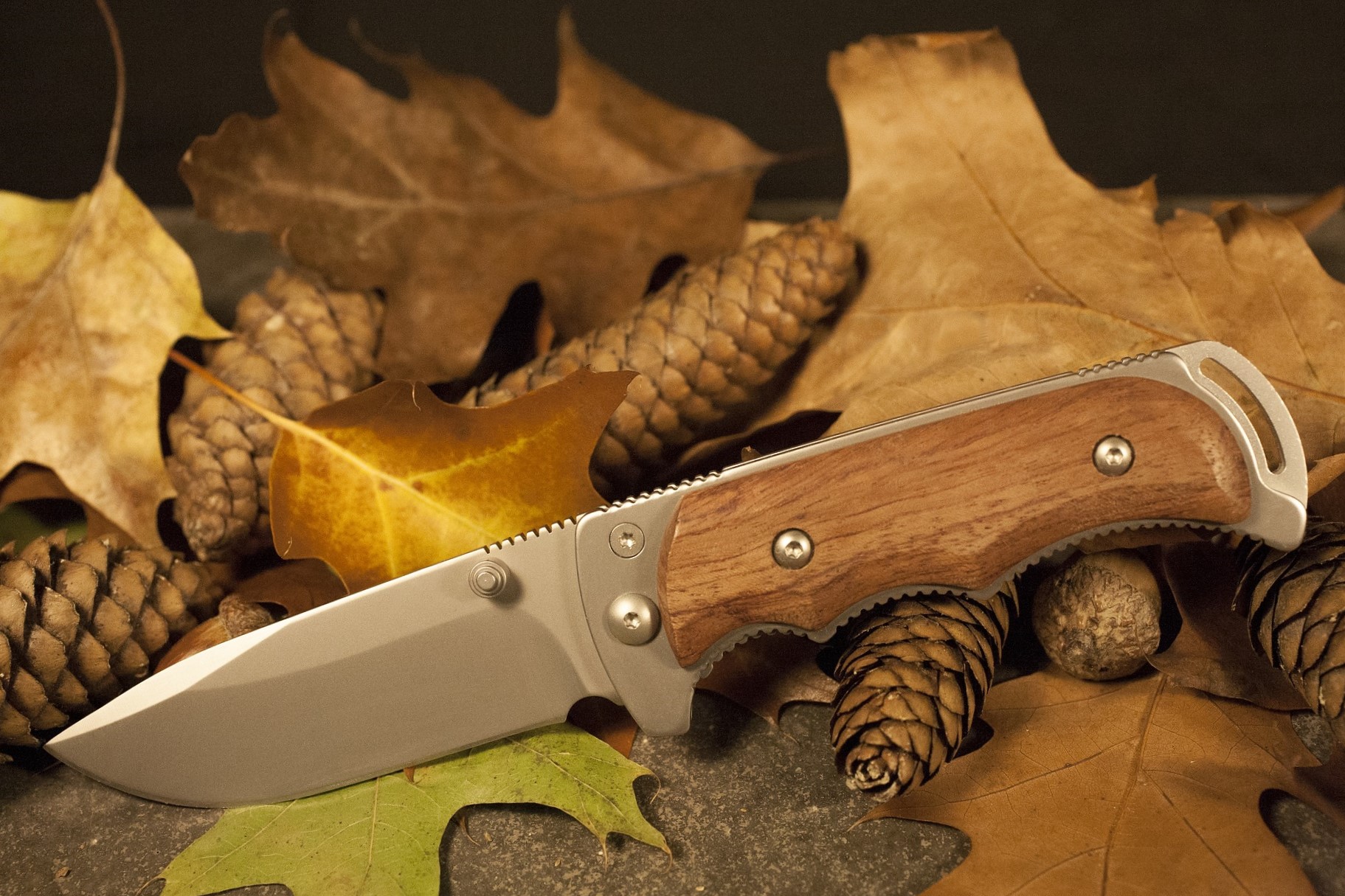 Best Field Dressing Knife on the Market 2019 Buck Vanguard Review